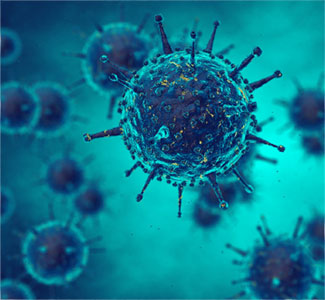 COVID-19 virus