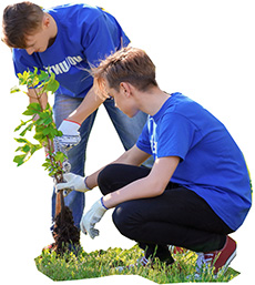 two volunteers planting a tree