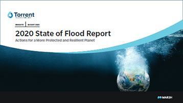 cover image of report